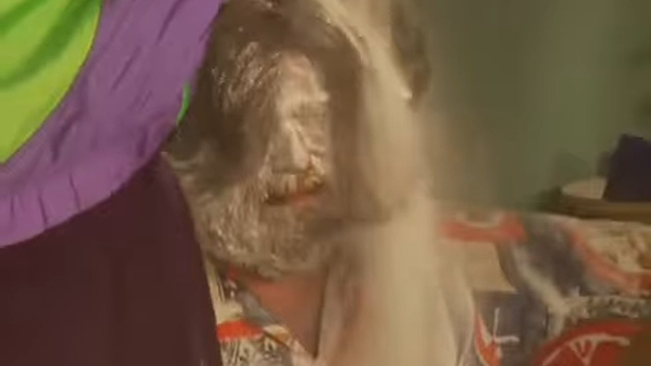 A Vodka Movie
