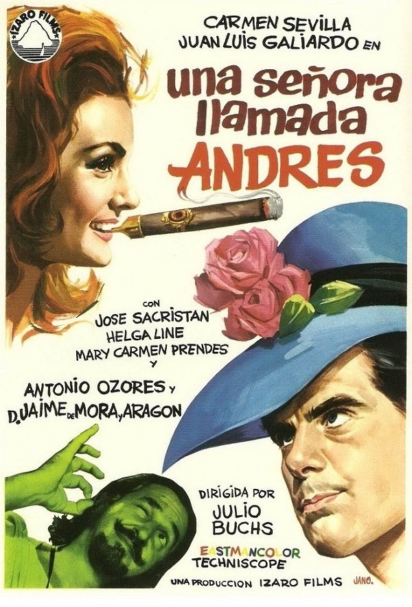 A Lady Called Andrew poster