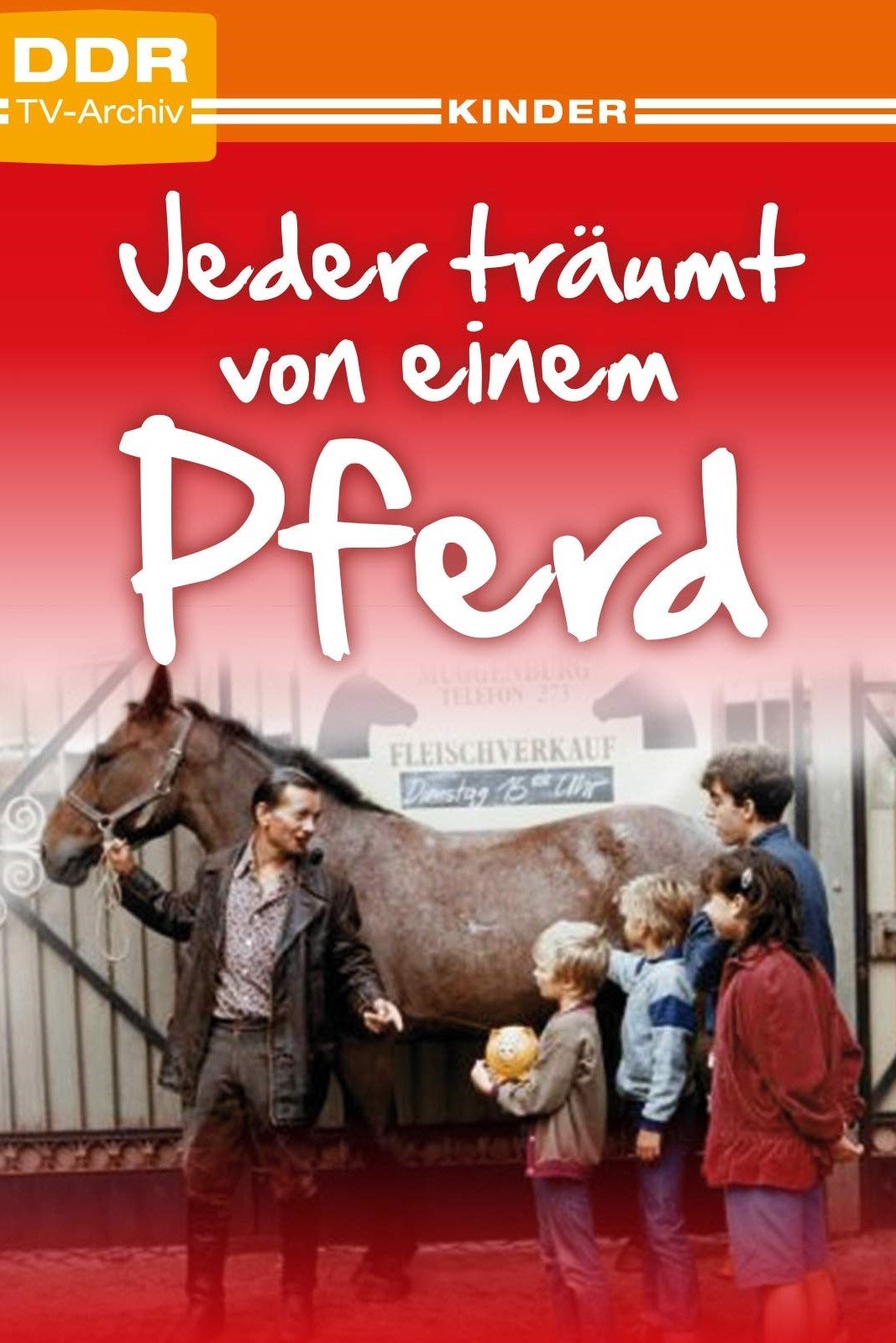 Everyone Dreams of a Horse poster