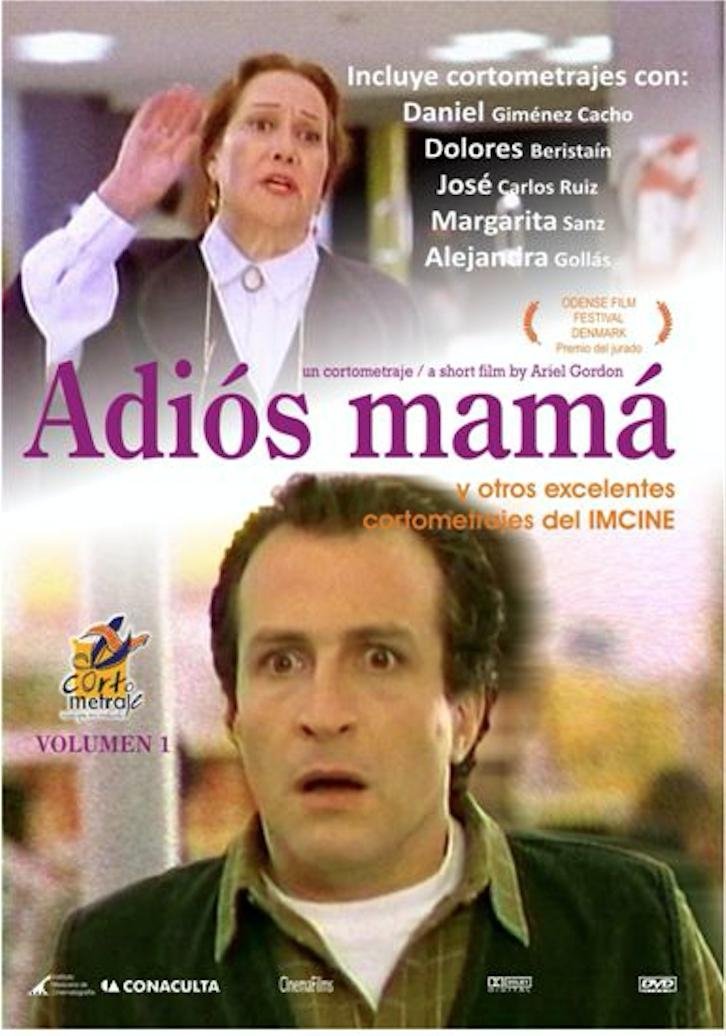 Goodbye Mom poster