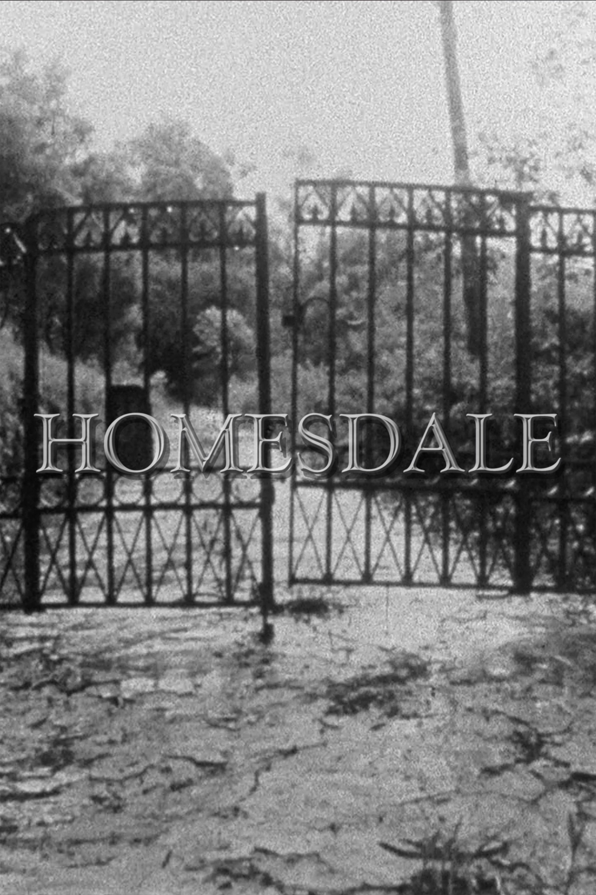 Homesdale poster