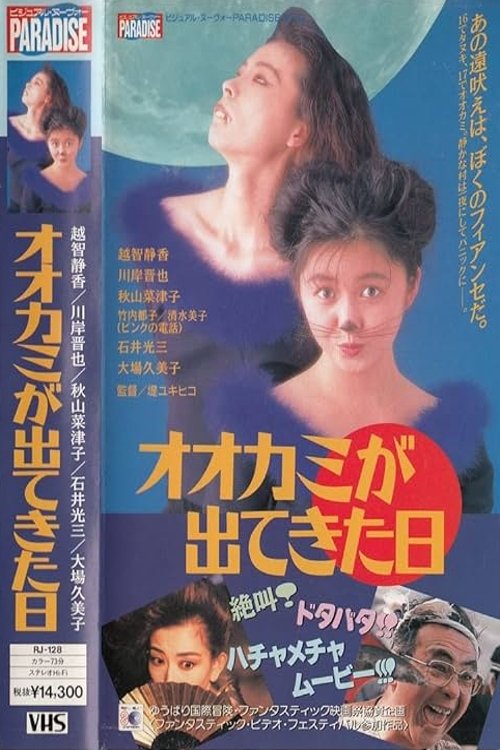 Ookami ga Dekita Hi poster