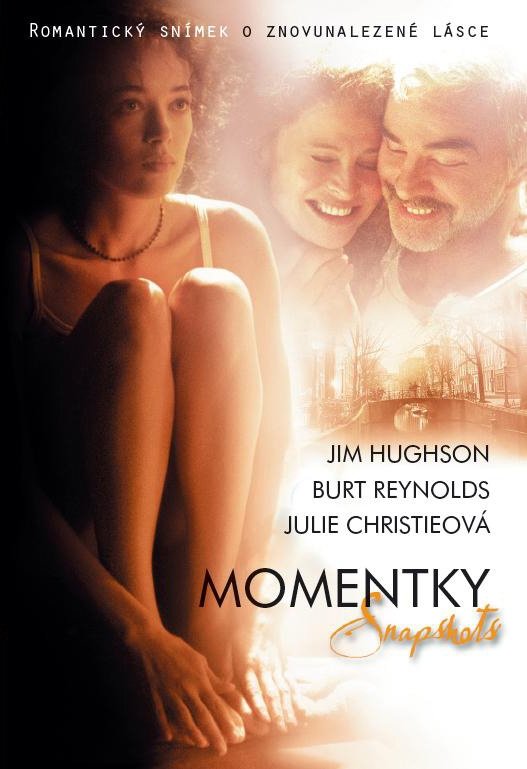Snapshots poster