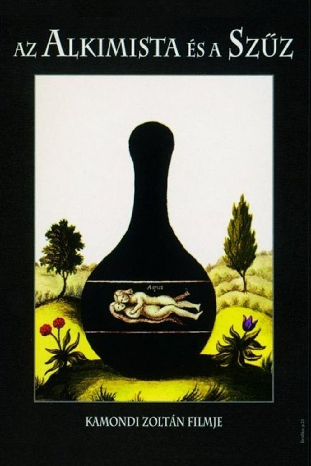 The Alchemist and the Virgin poster