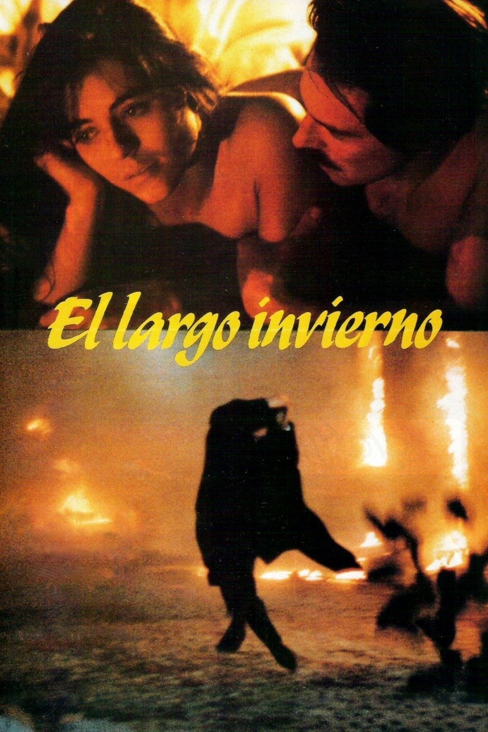 The Long Winter poster